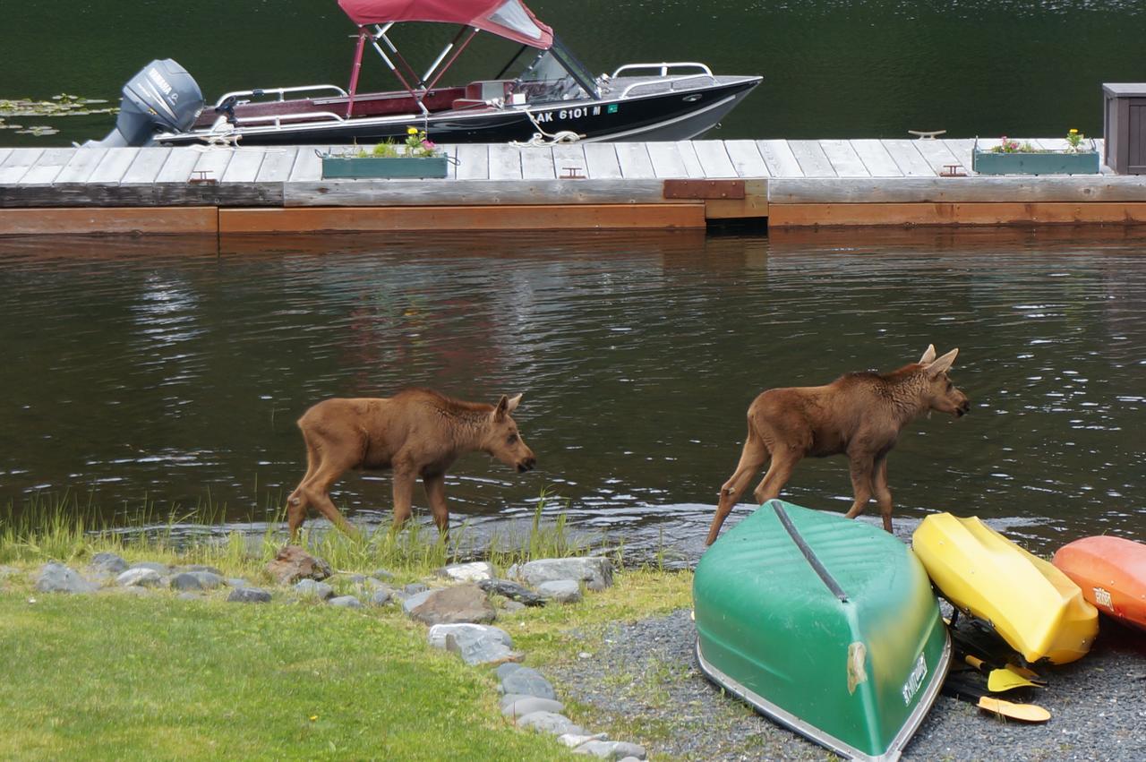 Bear Lake Lodgings B&B, Inc Seward Luaran gambar