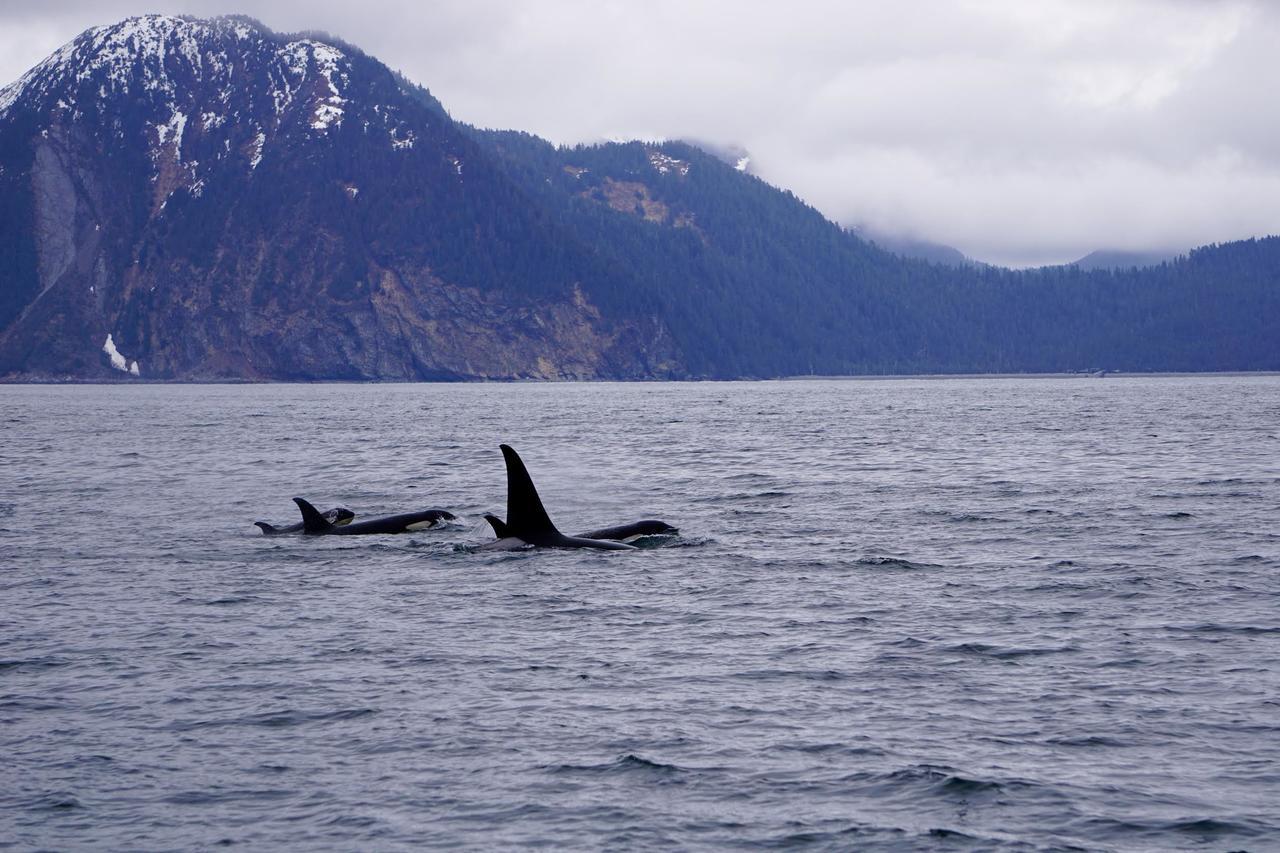 Bear Lake Lodgings B&B, Inc Seward Luaran gambar